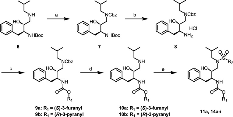 Synthesis of Compounds 11a and 14a–i a Reagents and conditions: (a) benzyl chloroformate, K2CO3, THF, H2O, 0 °C–r.t., 67%; (b) HCl, 1,4-dioxane, r.t., 100%; (c) substituted alcohol, disuccinimidyl carbonate, pyridine, TEA, MeCN, r.t.; (d) Pd­(OH)2, H2, MeOH, r.t., 98%; (e) substituted sulfonyl chloride, NaHCO3, DCM, H2O, 0 °C–r.t., 18–72%.