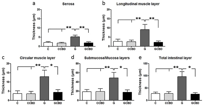 Histometric analysis of the intestinal layers. Data are reported as means±SD. C: Control; CCBD: Control + cannabidiol; G: Gastroschisis; GCBD: Gastroschisis + cannabidiol. *P<0.05; **P<0.005 (ANOVA).