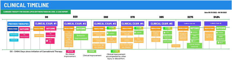 Clinical timeline for 494-days of Cannabinoid Therapy (CT). After 275 days of CT, the animal was stabilized and total cannabinoid dose was gradually reduced to 0.38 mg/kg/day. D0, First examination at CVE/UFSC; Outcomes in red boxes, no improvement or worsening; Outcomes um green boxes, clinical improvement.