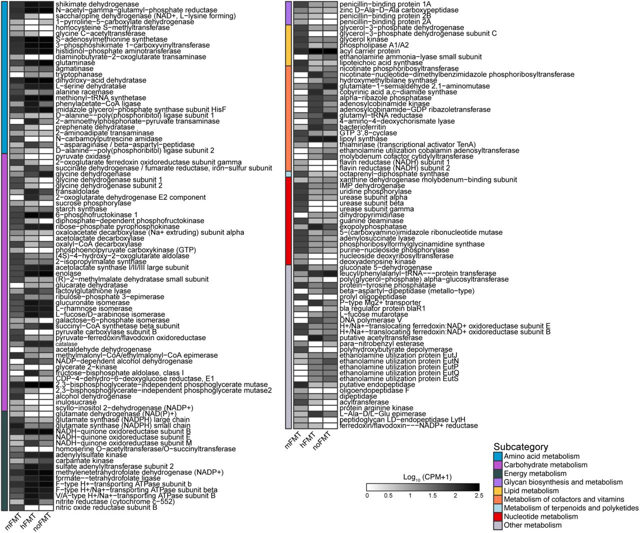 Microbial genes (KOs) associated with metabolism significantly different in abundance between cleared and colonized mice.Mean log10-transformed (CPM + 1) of metabolism associated KEGG orthologs (KOs) significantly different in abundance between mice that cleared (mFMT) or did not clear (hFMT, noFMT) C. difficile (based on MaAsLin2; linear model with BH correction, q ≤ 0.001).