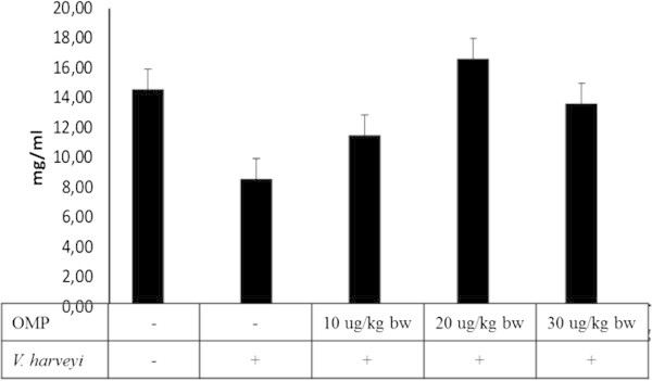 The Effects of different dosages of intramuscular administration of OMP andV. harveyiinfections on total plasma protein (TPP). Data are represented as mean ± S.D. (n = 10). Different letters indicate significant differences (P < 0.05) among five treatments determined by one-way ANOVA.
