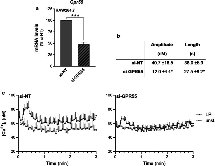 LPI induces increases in intracellular Ca2+ through an endogenous GPR55 in RAW264.7 cells. a Gpr55 mRNA levels of RAW264.7 cells interfered with non-targeting (si-NT) or Gpr55-specific (si-GPR55) siRNAs were quantified by real-time PCR and normalised using β2-microglobulin expression, as the housekeeping gene. Data are means ± SEM from seven independent experiments. b, c Interfered RAW264.7 cells were serum deprived for 1 h, loaded with Fluo4-NW, and then stimulated without or with 10 µM 16:0 LPI. Changes in fluorescence of each well of a 96-well plate were recorded, and the intracellular Ca2+ concentrations were calculated (see “Materials and methods” section). b Comparison between si-NT-and si-GPR55-responses to 10 µM 16:0 LPI, as means of six independent experiments performed in quadruplicates. Amplitude (height of the Ca2+ peak measured at the apex) and duration (length of the peak measured at the bases) of the responses were measured. c Data are means ± SE of quadruplicates within a representative experiment. *p < 0.05; ***p < 0.005 versus si-NT (Student’s t-tests)