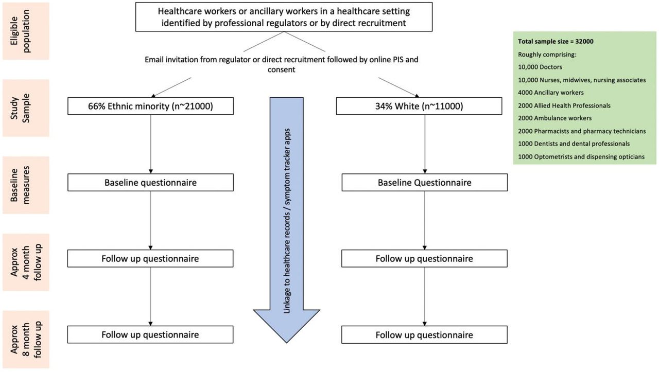 Study flowchart