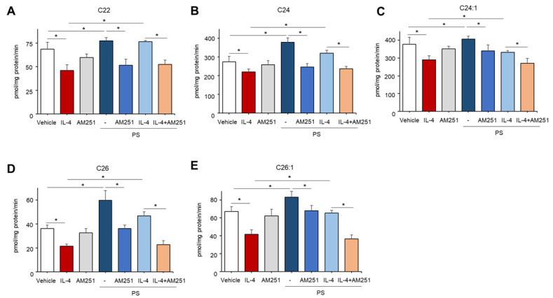 N-palmitoyl serinol (PS) particularly stimulates production of ceramides with long-chain fatty acids (FA) through a CB1-dependent mechanism. HaCaT KC were pretreated with IL-4 (50 ng/mL) for 20 h, followed by incubation with exogenous PS (25 μM) with or without CB1 inhibitor (AM-251, 10 μM) for 4 h. Ceramides with different carbon lengths (C22–C26, (A–E), respectively) were assessed by the LC-MS/MS system. Statistical significance was calculated using the unpaired Student’s t-test, and significance was defined as * p < 0.01 vs. vehicle control (or untreated control).