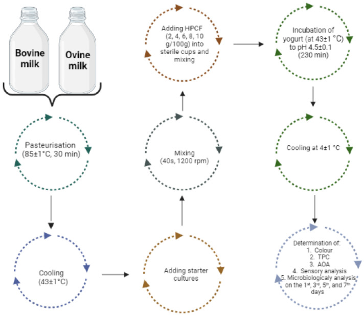 A schematic illustration of the yoghurt production steps (plain and fortified with hemp press cake flour) and the analysis performed on the yoghurt samples.