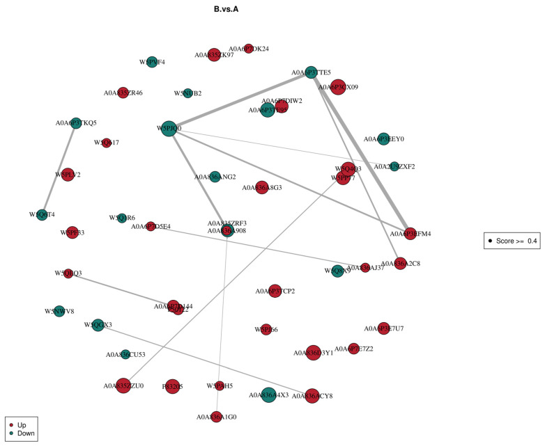 Protein interaction network diagram of the different comparison groups.