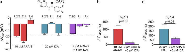 Coapplication of low concentrations of ARA-S and ICA73 limits the off-target effect on other hKV7 subtypes. (a) Mean shift in V50 induced by 10 µM ARA-S, 20 µM ICA73 (structure shown), or 2 µM ARA-S + 6 µM ICA73 coapplied on indicated channels. Data shown as mean ± SEM; n = 4 or 5. Dashed line denotes a shift in V50 of −20 mV. (b and c) Mean increase in GMAX of hKV7.1 or hKV7.4 induced by indicated treatment. Data shown as mean ± SEM; n = 4 or 5. Statistics denote Student’s t test.