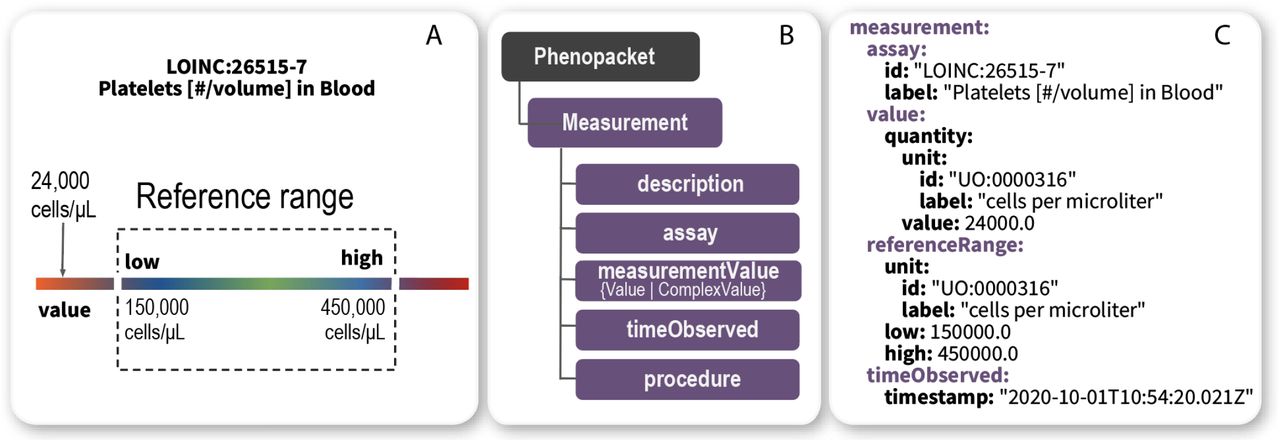 Example measurement of platelet count.Panel A: graphical representation of abnormal laboratory value outside of reference range. Panel B: relevant Phenopacket hierarchy. Panel C: part of a Measurement representing an abnormally low value for thrombocyte count. The reference range represents the range that was applied in the specific investigation and thus may reflect age or sex-specific values for some analytes.