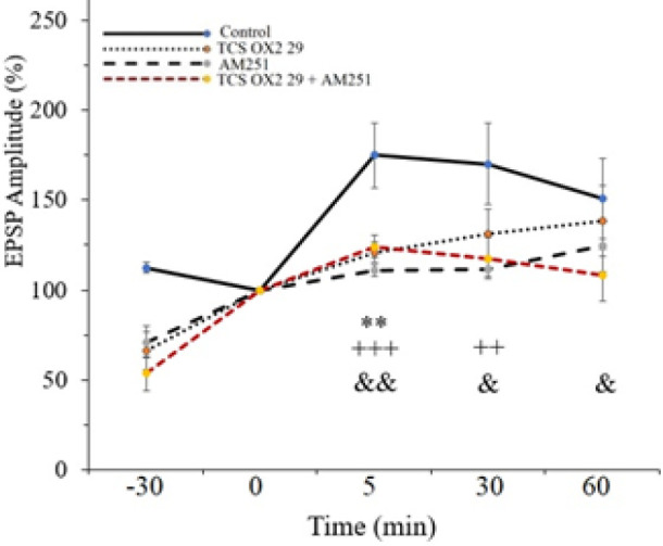 Time-dependent changes in CA1 responses to Schaffer collateral stimulation following an HFS