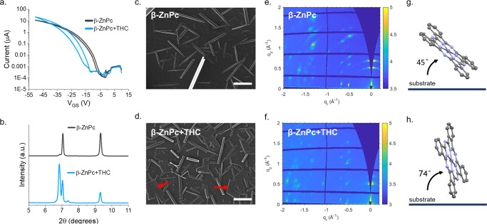 Effect of β- morphology on ZnPc OTFT sensitivity to THC vapor.(a) Transfer data, (b) XRD spectra, and (c, d) SEM images of ZnPc OTFTs after exposure to 400 ppb THC vapor over a period of 90 seconds. Scale bars represent 2 µm and red arrows denote sheet formation. (e, f) 2D scattering patterns (θ = 0.1°) of β-ZnPc thin films deposited on Si substrates and (g, h) a schematic showing GIWAXS determined preferential phase angle to the substrate pre- and post- exposure to THC vapor.