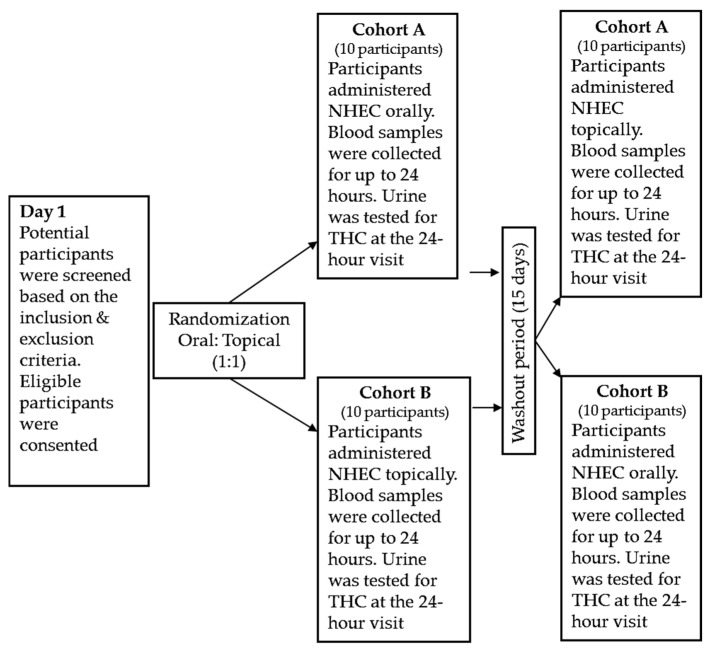 Study Design. NHEC was administered to Cohort A by oral route at visit 1, followed by a washout period, and then topically at visit 3. NHEC was administered to Cohort B by the topical route at visit 1, followed by a washout period, and then orally at visit 3.