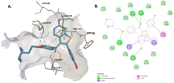 (A) 3D binding conformation of raloxifene into FAAH binding site; (B) 2D diagram of protein-ligand interactions between FAAH and raloxifene.