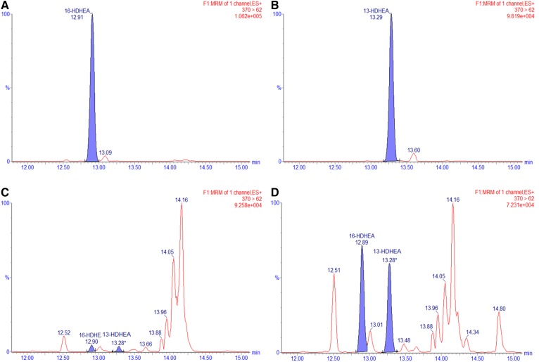 MRM chromatograms of m/z = 370 > 62 for the synthetic standards of 16-HDHEA (A), 13-HDHEA (B), control incubation of DHEA without hCOX-2 (C), and hCOX-2 incubation of DHEA (D).