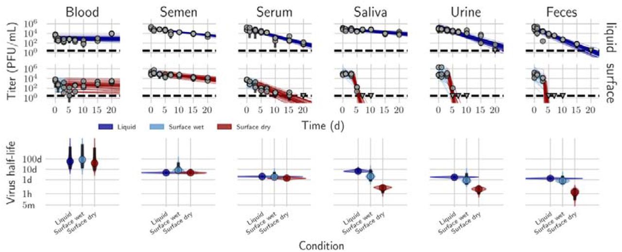 MPXV decay in human blood, semen, serum, saliva, urine, and feces on surface in liquid form. A. Regression lines showing predicted exponential decay of virus titer over time compared to measured (directly inferred) virus titers. Points show posterior median measured titers; black lines show a 95% credible interval. Colored lines are random draws from the joint posterior distribution of the exponential decay rate (negative of the slope) and intercept (initial virus titer); this visualizes the range of possible decay patterns for each experimental condition. Top row shows experiments in bulk solution (“liquid”); bottom row shows surface experiments. For surface experiments, light blue lines show the inferred “wet” phase, when visible residual moisture remains on the surface; red lines show the inferred “dried” phase, when evaporation has reached a state of quasi-equilibrium. The exact breakpoint is inferred from the data with a prior based on the last day of observable liquid. B. Inferred virus half-lives by condition and state. Violin plots show the shape of the posterior distribution. Dots show the posterior median half-life estimate and black lines show a 68% (thick) and 95% (thin) credible interval. Dark blue, light blue, and red violin plots show inferred bulk liquid, surface wet phase and surface dry phase half-lives, respectively.