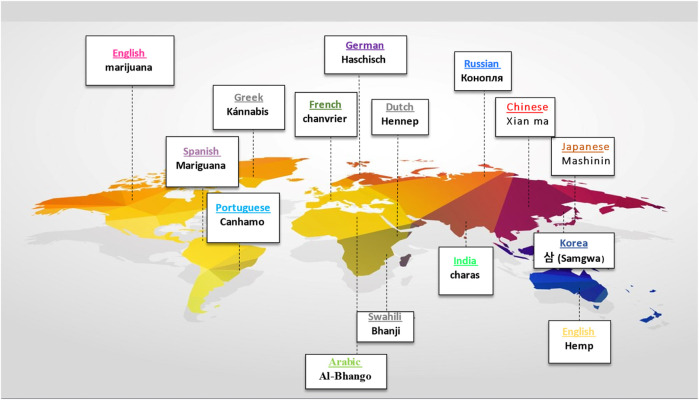 The name of Cannabis in some popular languages.