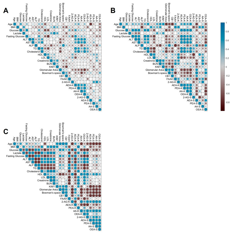 Large-scale correlation analysis. This correlation matrix displays the Pearson correlation coefficients between multiple variables. The matrix was applied to variables of all patients (A) and then stratified according to their BMI, analyzing the lean (B) and obese (C) groups separately. In eCBs measurements, K = kidney, and S = serum.
