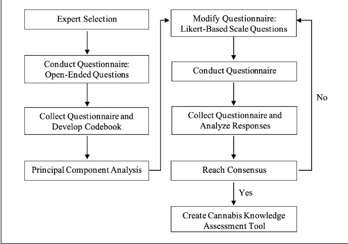 Delphi method process for development of questionnaire.