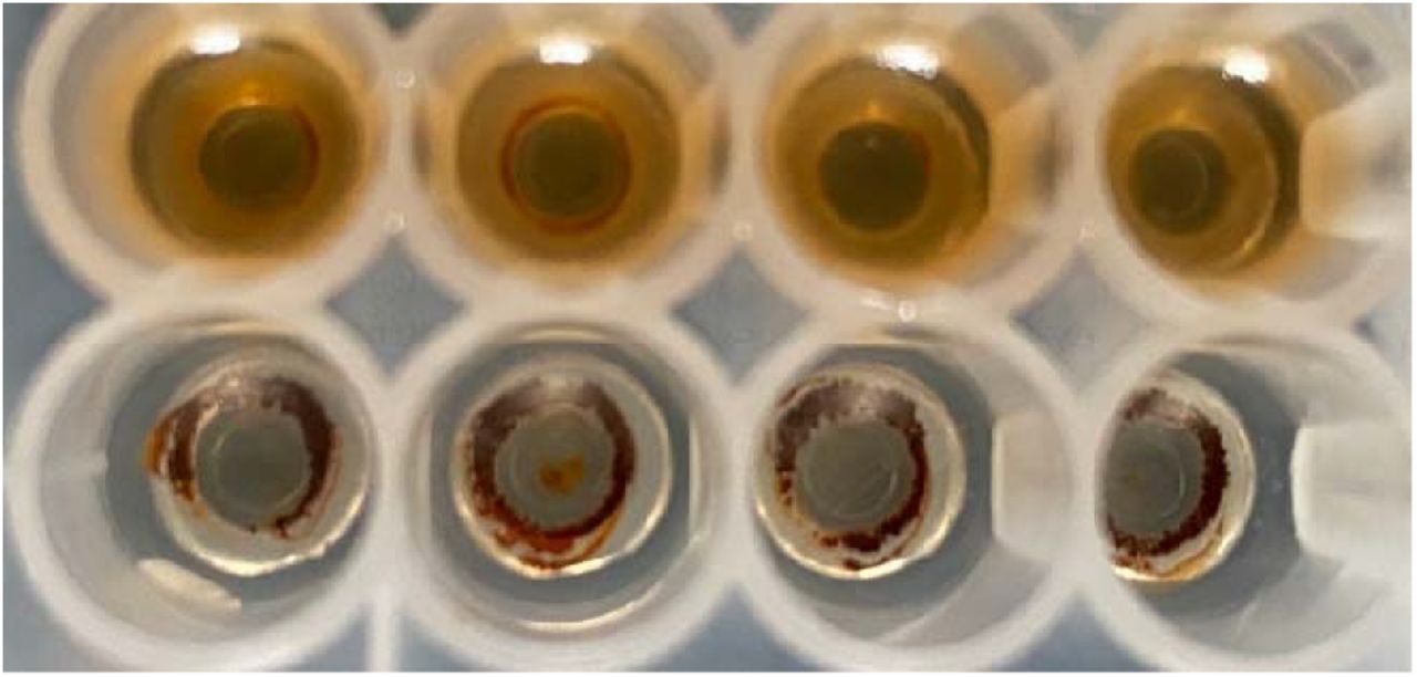 96 well format using magnetic isolation of RNA enables sample concentration prior to qPCR. 200 μL of homogenate is concentrated into 25 μL of eluant.