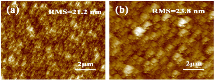 Atomic force microscopy (AFM) images of (a) bare TiO2 NR film; (b) TiO2 NR/brookite NP film.