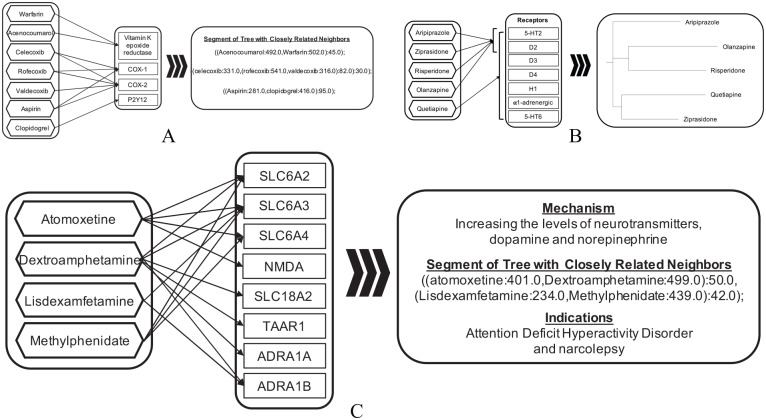 Evaluation of hierarchical grouping of herbs/drugs using the maximum parsimony phylogenetic technique. Groupings of drugs (e.g., A, B, and C represent three different groupings) with known underlying mechanisms were manually examined to validate the efficacy of the approach used (evaluation based on comparison with results from Mizutani et al).