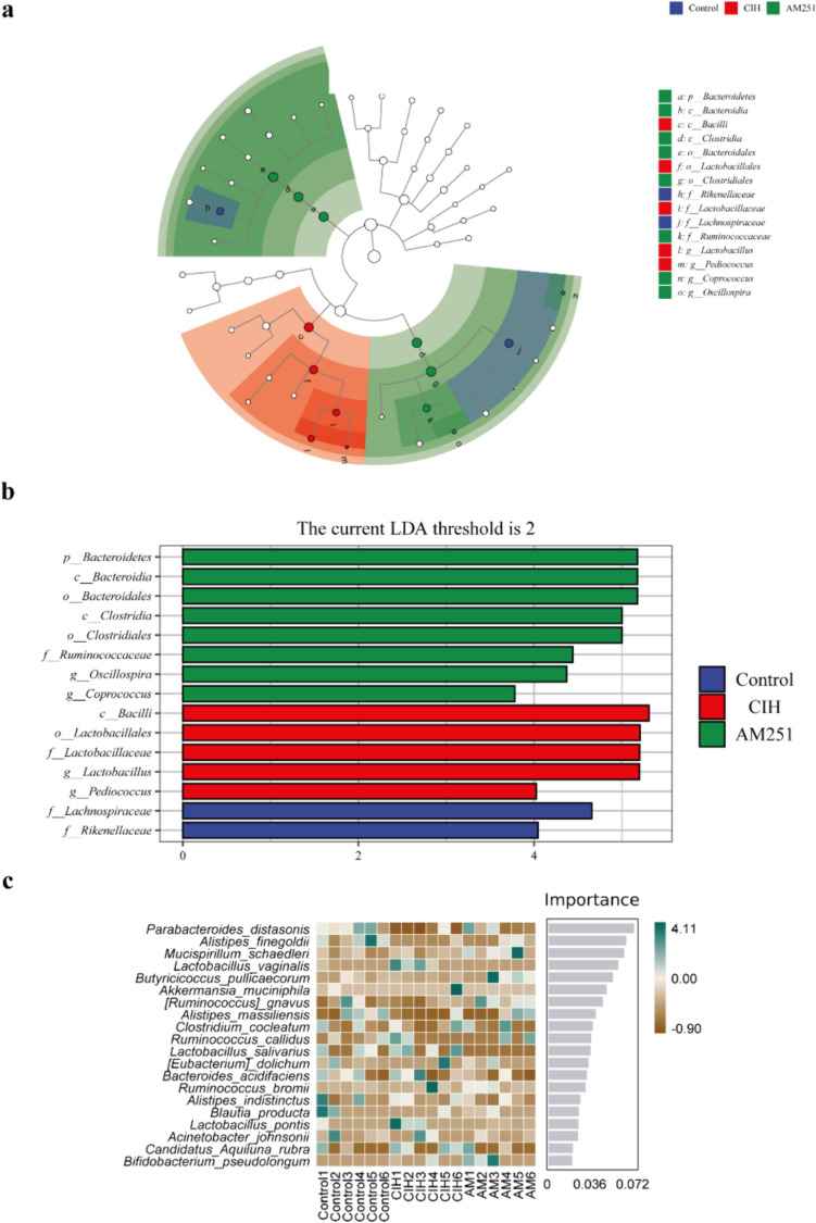 a LEFse branch diagram. b LEFse histogram analysis of marker species with significant differences between groups (LDA>2). c Random forest analysis: The heat map shows the abundance distribution of these species in each group. From top to bottom, the importance of species to the model decreases in order