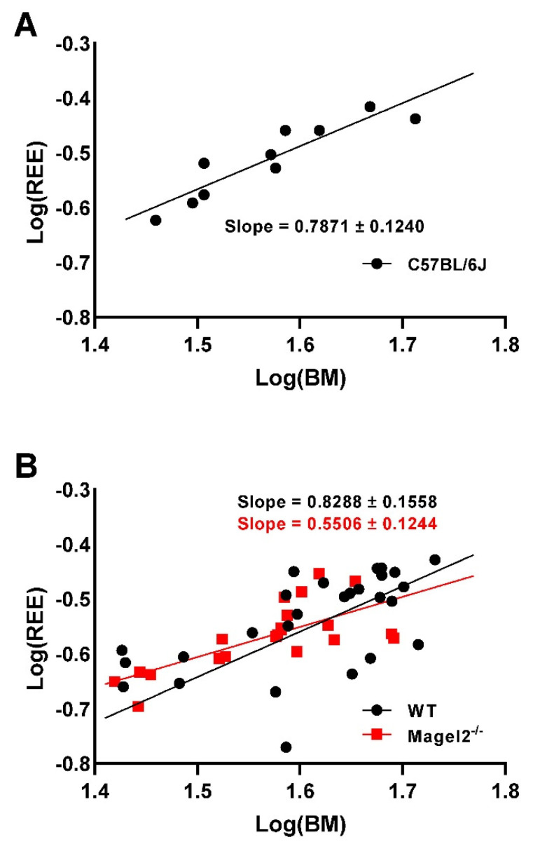 Analysis of covariance (ANCOVA) for calculating the metabolic data. Logarithms of the body mass and the resting metabolic rate, which were regressed against each other. The slopes of the regression curves were used as the power to which the body mass was raised in order to yield the panels describing FO and CHO in Figure 2 (A) and Figure 6 (B), in proportion to their metabolic rate.