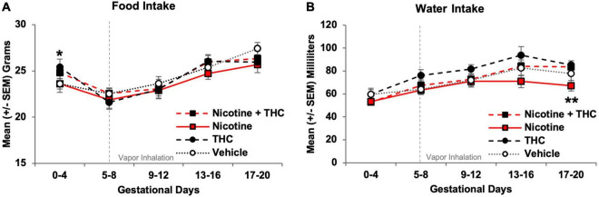 At baseline, pregnant dams assigned to receive THC exposure had higher food intakes, however, no differences among groups were observed throughout the vapor inhalation period (A). During the last days of vapor inhalation, dams exposed to nicotine alone during pregnancy drank less water than dams exposed to THC, although no groups differed significantly from controls (B). *THC > no THC, p < 0.05. **Nicotine < Nicotine + THC and THC, p’s < 0.05.