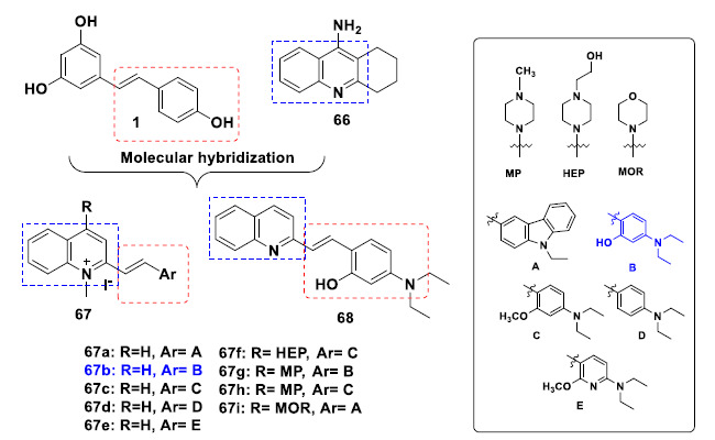 Chemical structures of a new family of tacrine-resveratrol-based hybrid compounds 67a-i and 68, with multifunctional properties potentially useful for AD treatment.