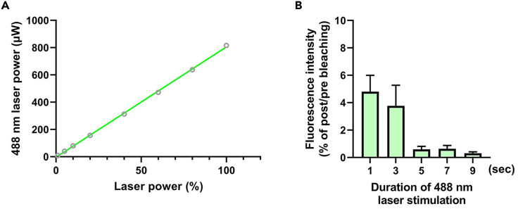 A test to determine the 488 nm laser stimulation duration(A) Confirmation of laser power (μW) according to % of 488 nm laser power in a Nikon C2+ confocal microscope.(B) The result of a photobleaching efficiency test according to stimulation duration of 488 nm laser with 820 μW intensity.