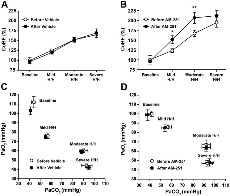 Cerebrocortical blood flow and arterial blood gas tensions during stepwise hypoxia/hypercapnia.Cerebrocortical blood flow (A and B, expressed as percentage of baseline levels) and arterial blood-gas tensions (C and D) are shown before (Baseline) and during mild, moderate and severe hypoxia/hypercapnia before (○) and after (•) intravenous injection of 10 mg kg−1 AM-251 or its vehicle. Values are mean ± SEM, *P<0.05, **P<0.01 versus “Before AM-251”, n = 4–12.