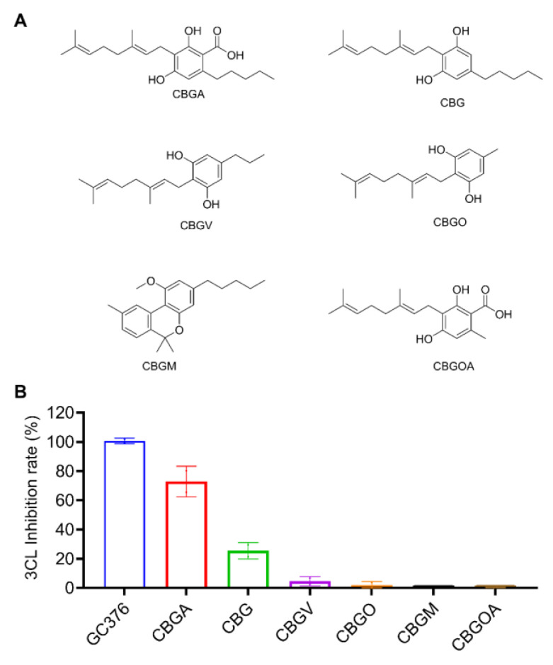 The chemical structures of the CBG-type of cannabinoids (A) and their inhibitory effect on the activity of SARS-CoV-2 Mpro (B). These cannabinoids were tested at a concentration of 10 μM with the MBP-tagged SARS-CoV-2 Mpro inhibition assay. GC376 was used as the positive control and each test compound was assayed in triplicate.