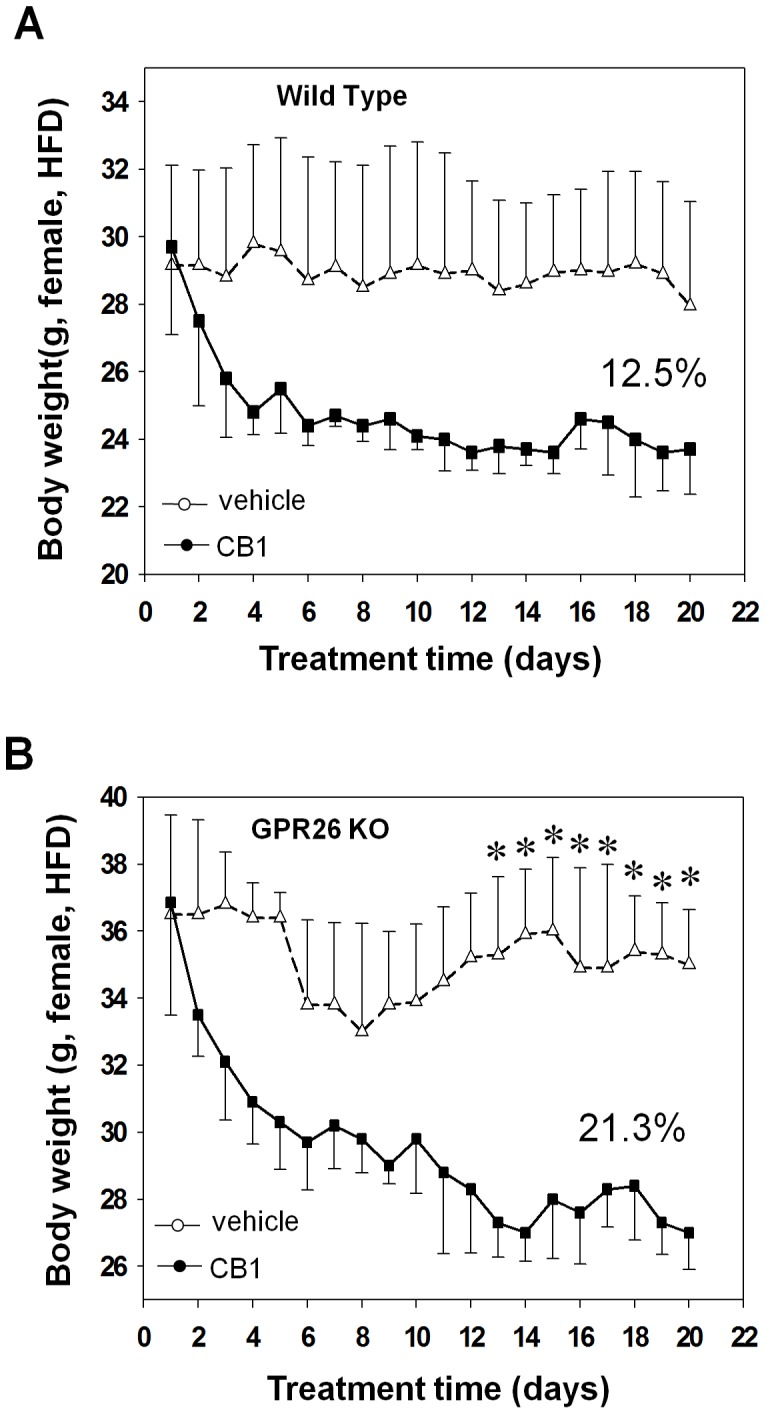GPR26−/− mice exhibit hypersensitivity to CB1 antagonist.After 12-weeks of high-fat diet, GPR26 knockout mice (KO) and wild type littermates (WT) were administrated daily by oral gavage with 10 mg of rimonabant (SR141716A ), an CB1 antagonist, per kg body weight formulated in 100 µl sodium carboxymethylcellulose (NaCMC) for 20 consecutive days. The same volume of NaCMC was utilized as the vehicle control. (A–B), body weight profile of WT (A) and KO (B) mice during the 20 days of treatment. N = 5, *p<0.05 when compared with wild type controls.