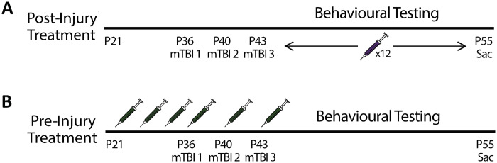 Experimental timelines for (A) Study 1 and (B) Study 2.