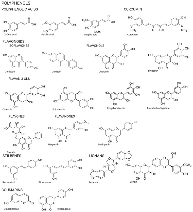 Chemical structures of the compounds.