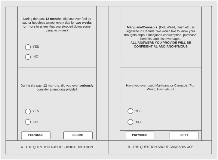 Screenshot replicas of suicidal ideation and cannabis questions.
