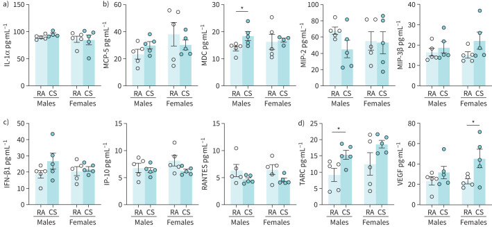 Impact of acute cannabis smoke exposure on immune mediators in the lungs. Male and female 6–8-week-old BALB/c mice were exposed to room air (RA) or the smoke of six cannabis cigarettes (CS) twice a day for 4 days. Immune mediators were quantified via multiplex analysis (Eve Technologies). Mediators shown are those with quantities above the lower level of detection of the analysis and are associated with a) smoke-associated inflammation, b) macrophage cell signalling, and c) antiviral signalling. d) Other immune mediators with significant differences above the lower level of detection are also shown. IL: interleukin; MCP: monocyte chemoattractant protein; MDC: macrophage-derived chemokine; MIP: macrophage inflammatory protein; IFN: interferon; IP-10: interferon-γ-inducible protein 10; TARC: thymus and activation-regulated chemokine; VEGF: vascular endothelial growth factor. Data represent mean±sem; n=5 per group. *p<0.05, unpaired t-test within each sex.