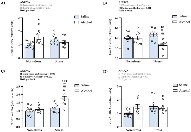 Relative mRNA expression levels of glutamatergic receptor subunits in the amygdala of adult male rats after repeated restraint stress and/or intermittent alcohol exposure during adolescence. Relative mRNA expression of Grm5 (A); Grin1 (B); Grin2B (C); and Gria2 (D) in male adult rats after repeated restraint stress (f1) and/or intermittent alcohol exposure (f2) during adolescence. Bars represent the mean ± SEM (9–10 rats/subgroup). Data were analyzed by two-way ANOVA. (*) q < 0.05, (**) q < 0.01 and (***) q < 0.001 denote significant differences compared with the non-stress saline subgroup, ($$$) q < 0.001 denotes significant differences compared with the stress saline subgroup, and (##) q < 0.01 and (###) q < 0.001 denote significant differences with the non-stress alcohol subgroup using post hoc tests for multiple comparisons when an interaction between factors is found (f1 × f2). p-values in bold denote significant main effects of factors (f1 and f2) or significant interaction (f1 × f2).