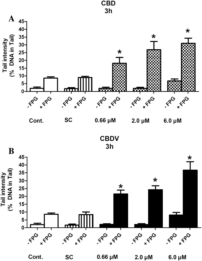 a, b Formation of oxidized purines in HepG2 cells by CBD and CBDV. The cells were exposed to the test compounds for 3 h. Subsequently, the nuclei were isolated after lysis and treated with FPG or with the corresponding buffers before electrophoresis for 30 min. Bars indicate means ± SD of results obtained with two cultures per experimental point. From each culture, two slides were made and 50 cells were evaluated per slide. Stars indicate statistical significance (p ≤ 0.05, ANOVA). All statistical calculations are based on comparisons between results which were obtained with cells which had been treated with the test compounds and results which were obtained with corresponding solvent controls
