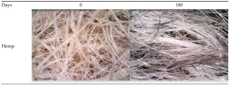 Microscopic images of unexposed nonwoven mulches and nonwoven mulches after ten months of field exposure; magnification ×65.