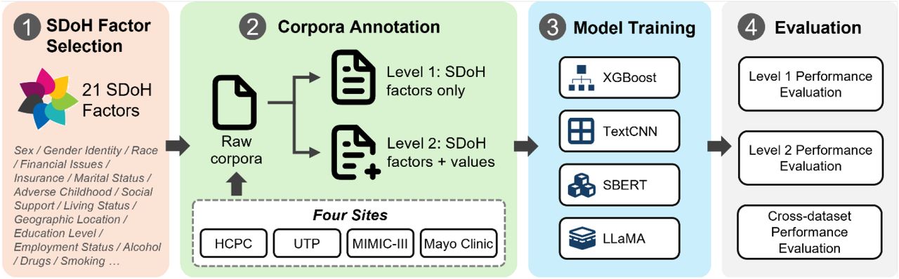 A schematic representation of the study workflow.