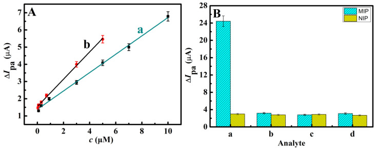 (A) Calibration curves for (a) sensor A that only modified AuNP-rGO composites and (b) sensor B that only utilized the bioelectrocatalysis. (B) CV ΔIpa of selective recognition for the CBD-imprinted and NIP sensors. (a) 5 μM CBD, (b) 5 mM TBZ, (c) 5 mM TPM, and (d) 5 mM 2-ABZ. The CV measurements were performed under a nitrogen atmosphere and the error bars represent the standard deviation of the experimental results (n = 3).