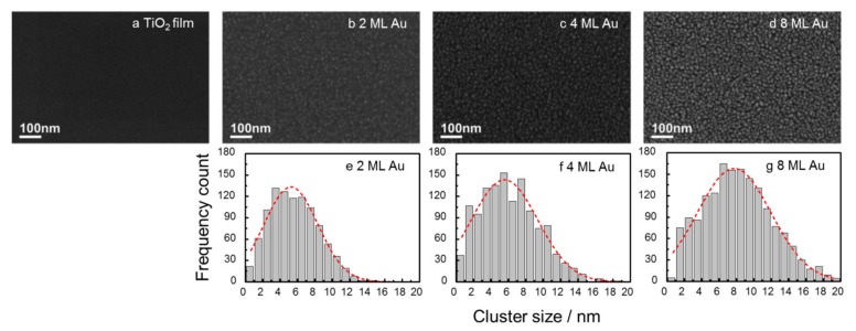 SEM images of Si wafers supported TiO2 P25 (a). Gas phase Au cluster modified TiO2 P25 films with 2 ML (b), 4 ML (c) and 8 ML (d) equivalent coverage as well as size distribution histograms of 2 ML (e), 4 ML (f) and 8 ML (g) samples. The red dash lines in the histograms are the fittings of cluster distributions.