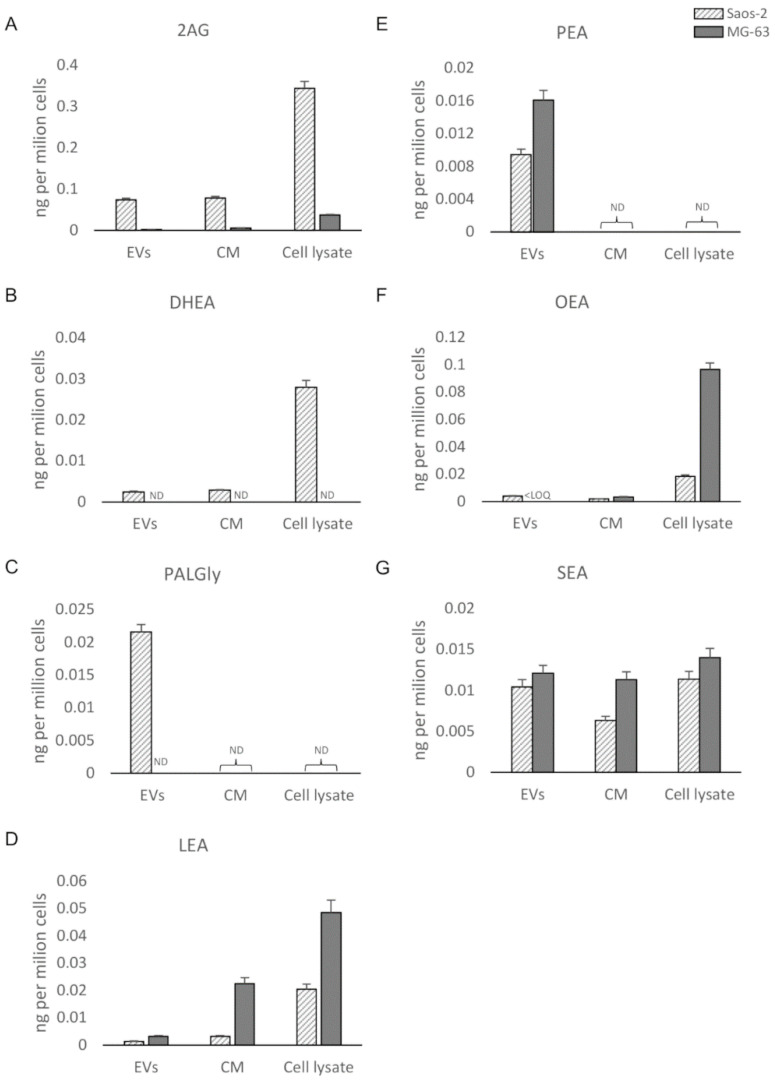 UHPLC-MS/MS quantitation (ND = not detectable; LOQ = limit of quantitation) in EVs, CM, and cell lysate from Saos-2 and MG-63 cell lines of (A) 2-arachidonoylglycerol (2AG); (B) N-docosahexaenoylethanolamide (DHEA); (C) N-palmitoylglicine (PalGly); (D) N-linoleoylethanolamide (LEA); (E) N-palmitoylethanolammide (PEA); (F) N-oleoylethanolamide (OEA); (G) N-stearoylethanolamide (SEA).