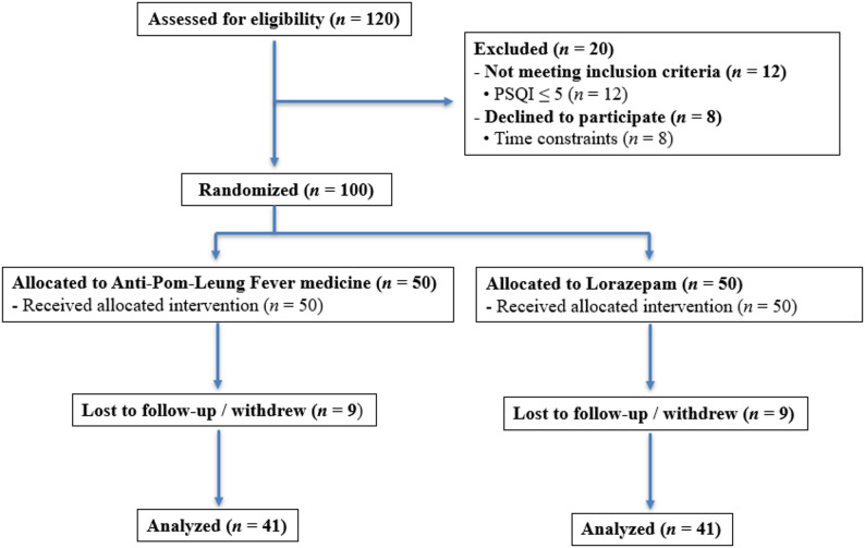 CONSORT flow diagram showing participant inclusion, randomization, and progression throughout the study