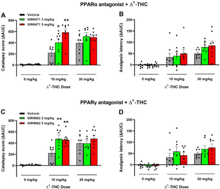 Effects of PPAR antagonists on Δ9-THC-induced catalepsy and analgesia in mice. A/B: Pretreatment with the PPARα antagonist GW6471 enhanced 10 mg/kg Δ9-THC-induced catalepsy (A), but did not Significantly altered hot-plate analgesia (B). C/D: Pretreatment with the PPARg antagonist GW9662 enhanced THC-induced catalepsy (C) but failed to alter Δ9-THC-induced analgesia (D). (See Fig. S7 and S8 for the effects of PPAR antagonists on Δ9-THC-induced hypothermia and immobility).