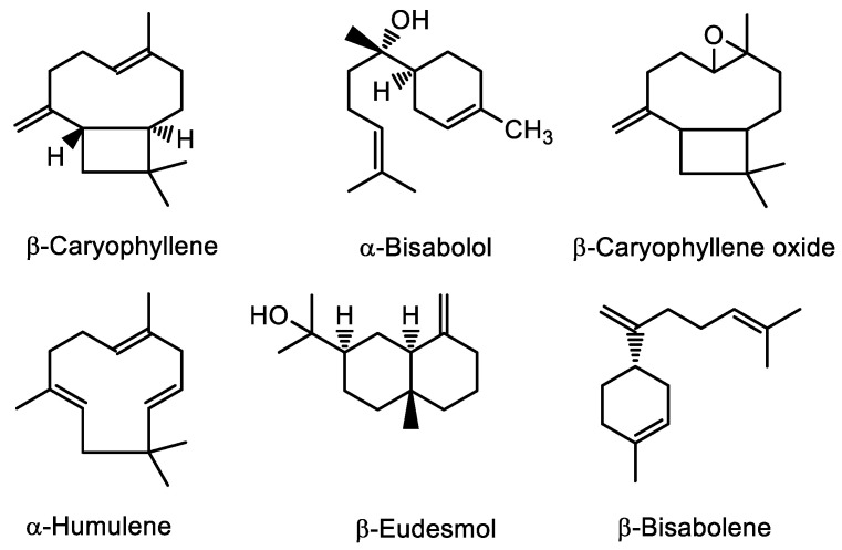 Structures of main terpenes identified in the hemp essential oil.