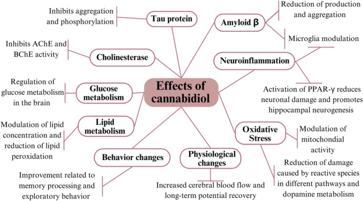 Mechanisms of action of cannabidiol in Alzheimer's disease. Schematic representation of the effects of CBD associated with AD found in the literature review.