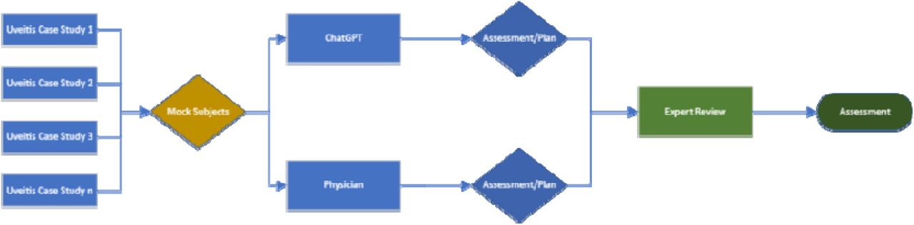 Flowchart of data collection and process for uveitis assessment.