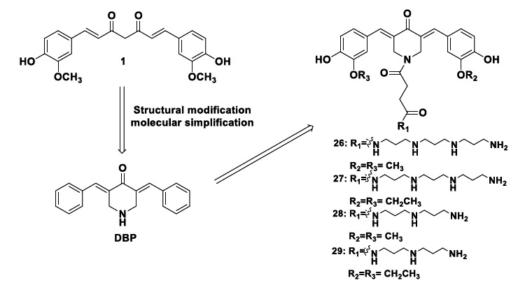 Design strategy for polyamine-like DBP derivatives 26-29 with remarkable antioxidant properties.