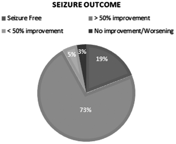 Seizure outcome in our cohort.